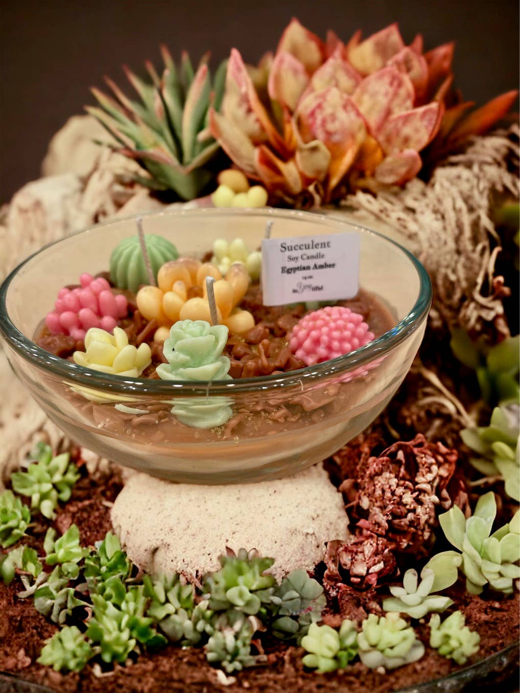 Succulent Candles: Egyptian Amber