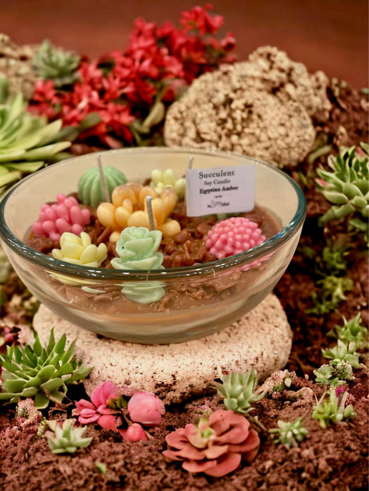 Succulent Candles: Egyptian Amber