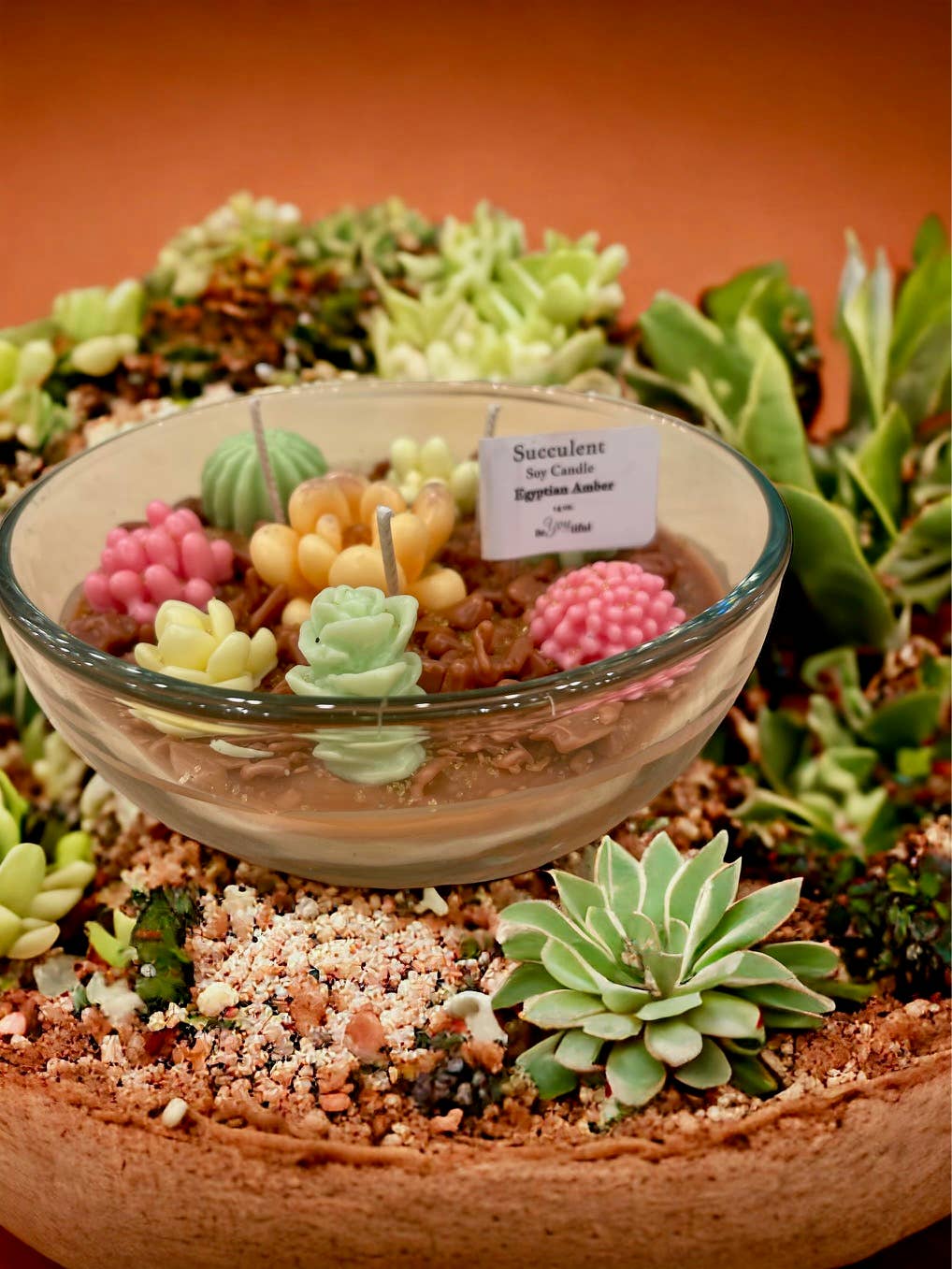 Succulent Candles: Egyptian Amber