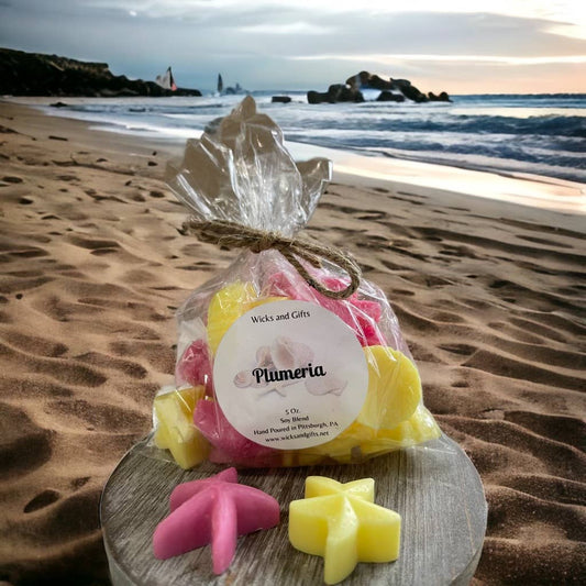 Plumeria 5 oz Sea Shell Shape Wax Melts